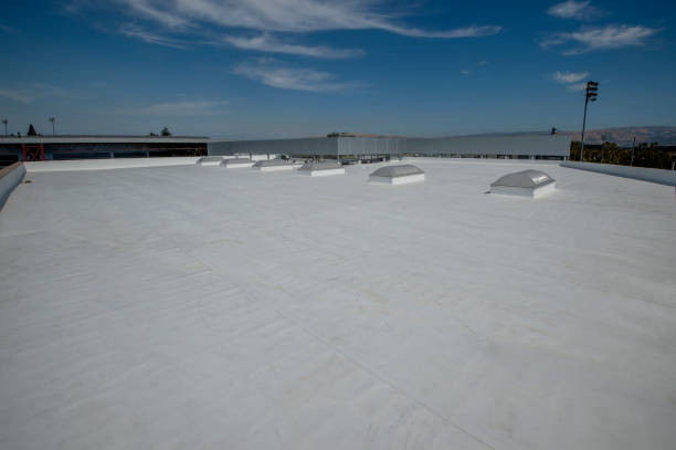 Best Cold Roofs  in Neoga, IL