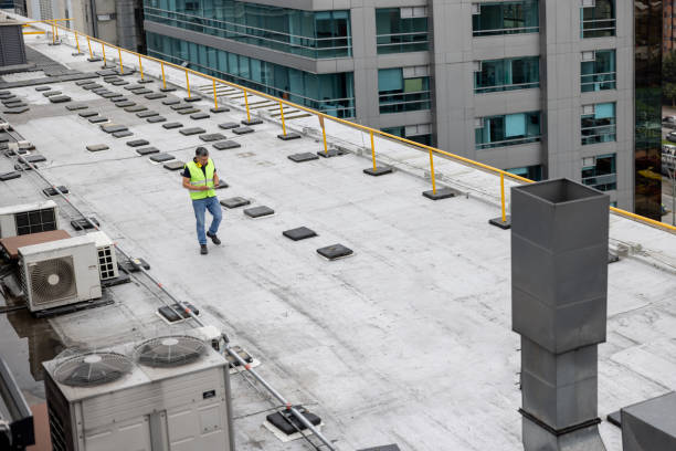 Best Skylight Installation and Repair  in Neoga, IL