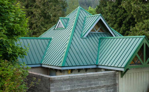 Best Solar Panel Roofing Installation  in Neoga, IL