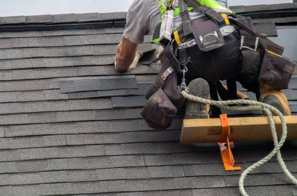 Best Chimney Flashing Repair  in Neoga, IL