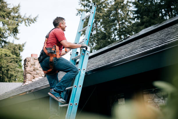 Best Roof Moss and Algae Removal  in Neoga, IL